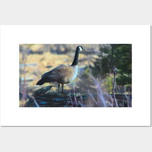 Geese on guard duty illustration Posters and Art